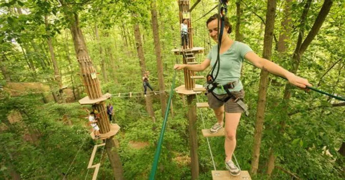 go ape zipline