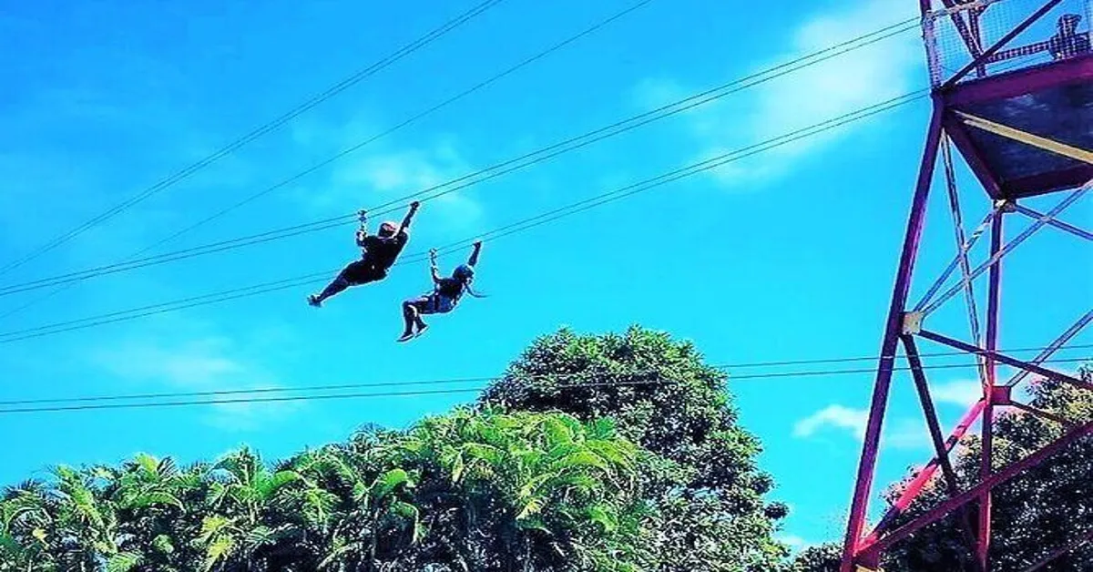 rainforest zipline park