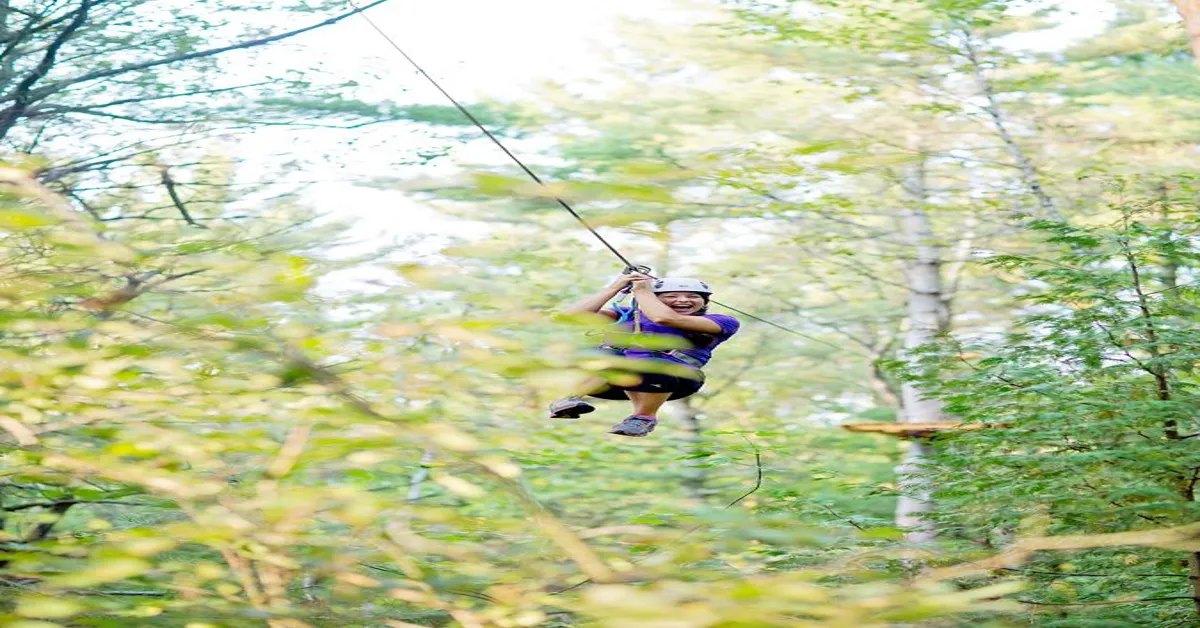 treetop trekking near me