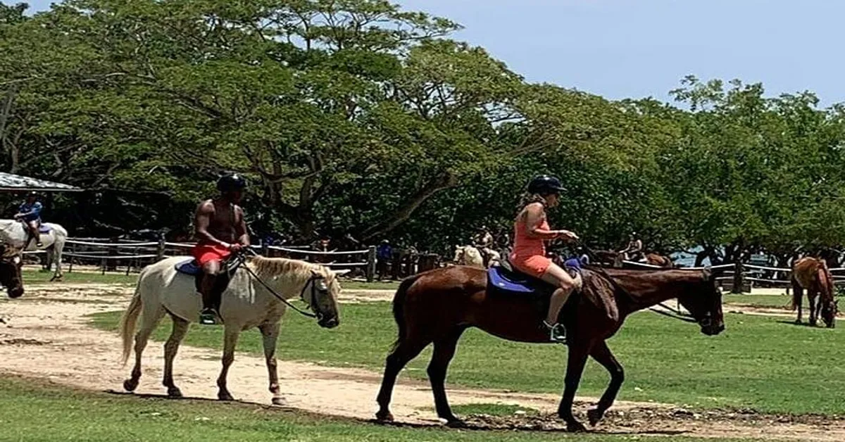 zipline and horseback riding